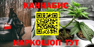 2c-b Пугачёв