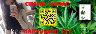 2c-b Пугачёв