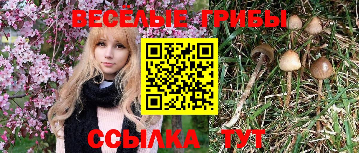 Галлюциногенные грибы мицелий Обнинск