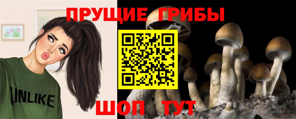Галлюциногенные грибы MAGIC MUSHROOMS  Вход с VPN  как найти закладки  Псилоцибиновые грибы мухоморы  Обнинск 